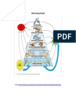 S 8 9 1_Marine Energy Pyramid