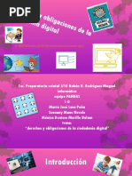 Derechos y Obligaciones de La Ciudadanía Digital