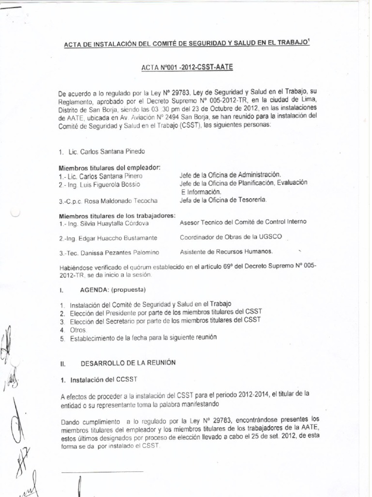 Acta de Seguridad y Salud en El Trabajo PDF | PDF