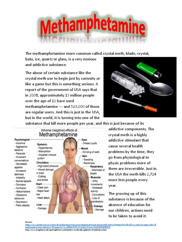 Understanding Methamphetamine Addiction | PDF