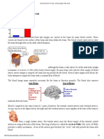 Neuroscience for Kids - Blood Supply of the Brain