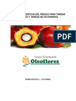 Programa de Gestion Del Riesgo de Actividades Critifcas y No Rutinarias.