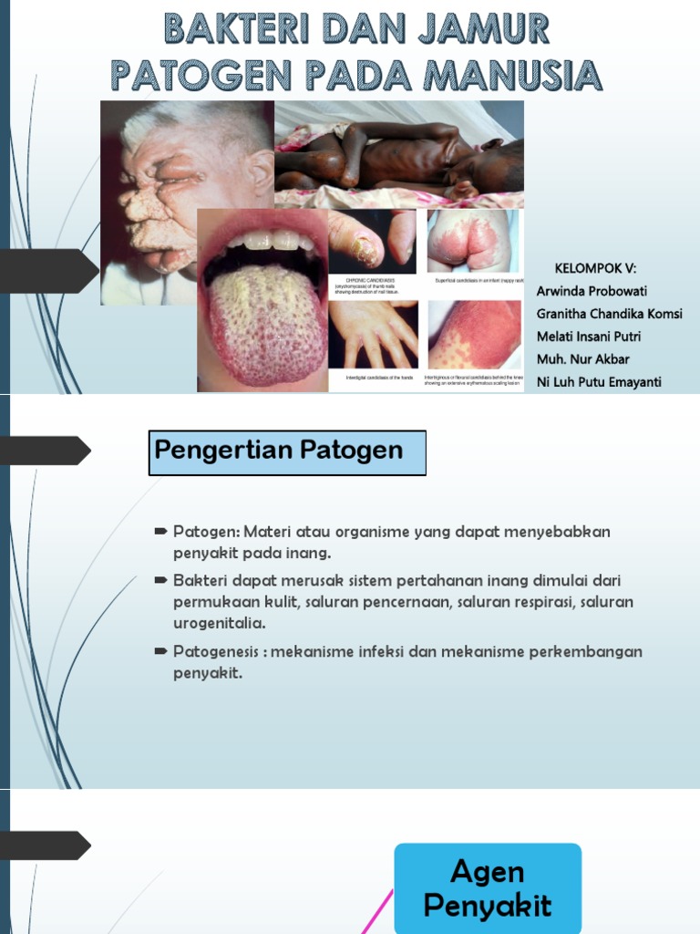 Bakteri Dan Jamur Patogen Pada Manusia | PDF