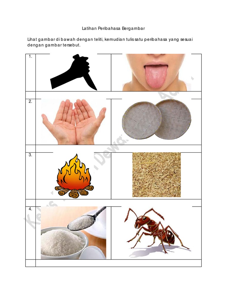 Latihan Peribahasa Bergambar PT3