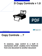 Copy Controls.pdf