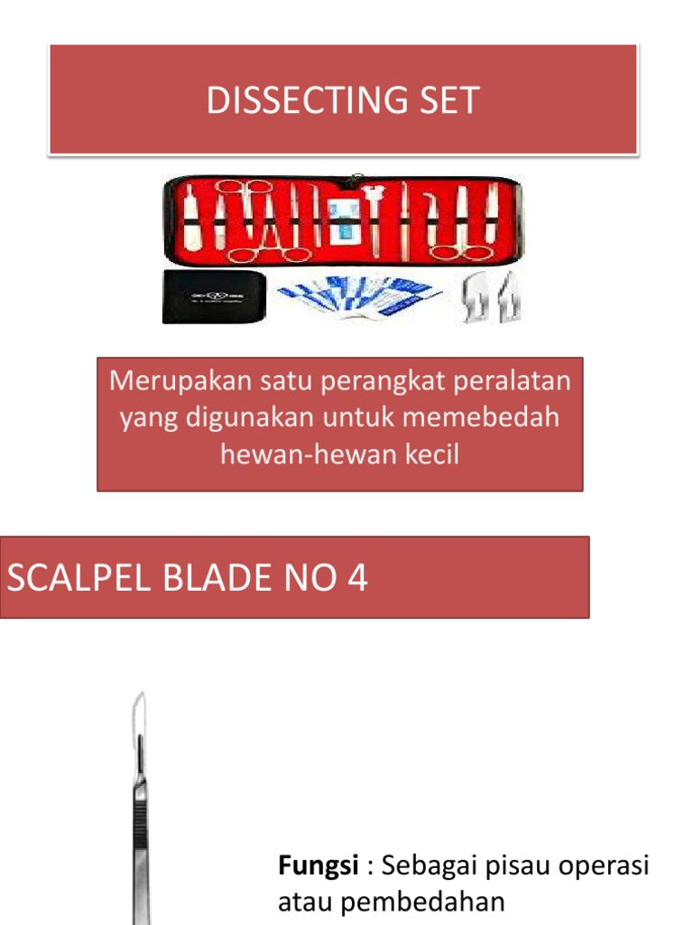 Peralatan dalam Dissecting Set | PDF