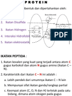 Kimia KBK - Modul Kimia Bio-Organik Ta 2012-2013 - Protein - 30 Okt 2012