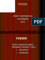 TOKSIN