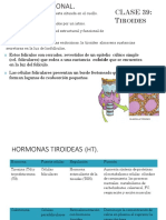 03. ENDOCRINOFISIOLOGÍA Tiroides y paratiroides.pdf