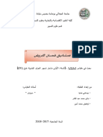 صناديق ضمان القروض PDF