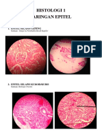 Histologi 1