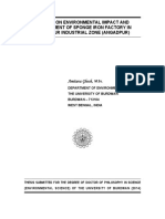 Amitava Thesis