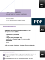 Objetivos de La Aplicación de Los PAP