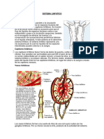 sistema_linfatico.pdf