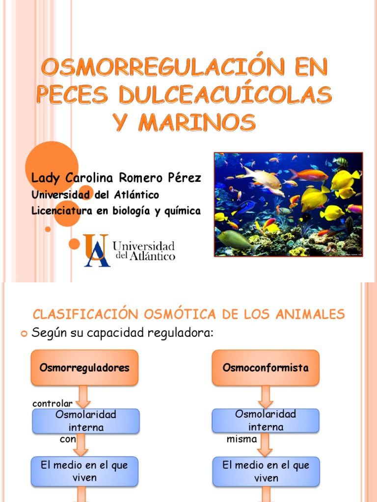 363787476 Osmorregulacion En Peces De Agua Dulce Y Salada
