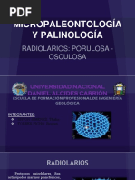 RADIOLARIOS- PORULOSA - OSCULOSA