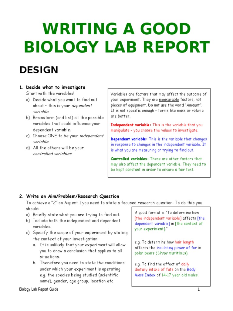 lab experiment essay