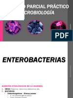 Diagnóstico microbiológico de infecciones entéricas