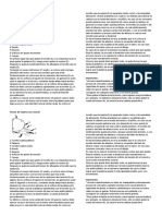 Tensor de Cadena Con Resorte para Bicimoto