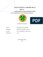 6to Trabajo - Influencia de La Madera en de Los Elementos Xilematicos en Las Propiedades Físico-Mecánicas