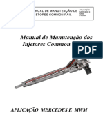 Manualdemanutenodosinjetorescommonrail 141204184958 Conversion Gate01 PDF