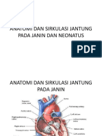 Anatomi Dan Sirkulasi Jantung Pada Janin Dan Neonatus