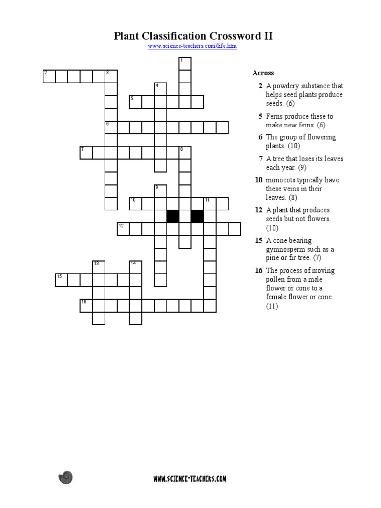 Plant Classification Crossword II PDF Seed Trees