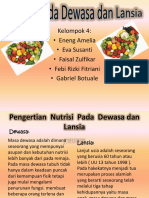 Nutrisi Pada Dewasa Dan Lansia