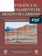 CO2 informe.pdf