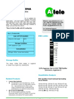 Allele 100bp DNA Ladder