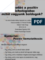 Pozitív Pszichológia PDF