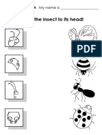 Match The Insect To Its Head!: My Name Is