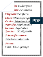 Domain: Kingdom: Phylum: Class: Order: Family: Genus: Species: Scientific Name: Name
