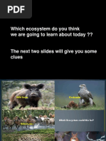 Lesson 4 - What Are We Learning Today About Ecosystems