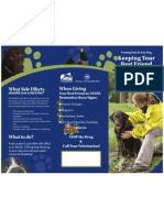 NSAID Brochure For Dogs