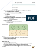 Biochem1b Ren NucleotideMetab