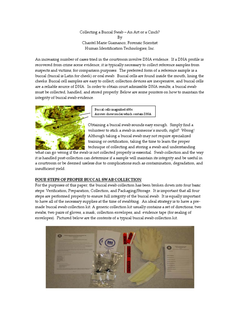 Taking a Buccal Swab Dna Profiling Dna