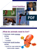 Animal Nutrition: AP Biology