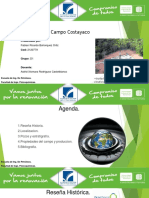 275093717-Campo-Costayaco-Diapositivas.pptx