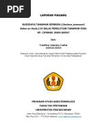 Download Laporan Magang-Triasfitria Valentira Yudhia-150510130033 by Triasfitria Valentira Yudhia SN371272161 doc pdf
