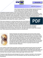 transposonpdf.pdf