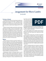 Feeding Management For Show Lambs: E Tension