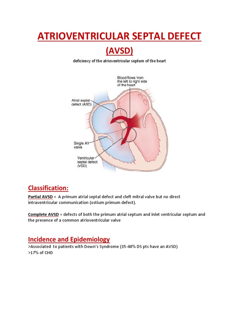 Atrioventricular Septal Defect Overview | PDF | Thorax (Human Anatomy ...