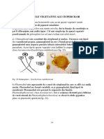 Inmultiri La Ciuperci