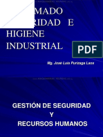 curso-diplomado-seguridad-higiene-industrial-gestion-recursos-humanos-principios-modelos-clasificacion-herramientas.pdf