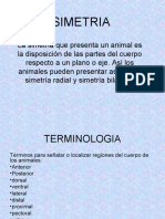 Simetria Animal