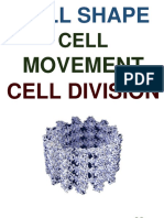 Cell Shape: Movement