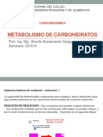 Clase Metabolismo de Carbohidratos 2018N