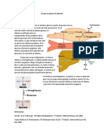 Tarea de Alanina