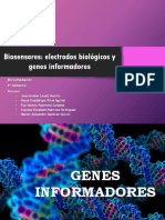 Biosensor Es